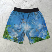 Dove Art Print Street Hip Hop Shorts