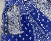 Blue bandana print shorts