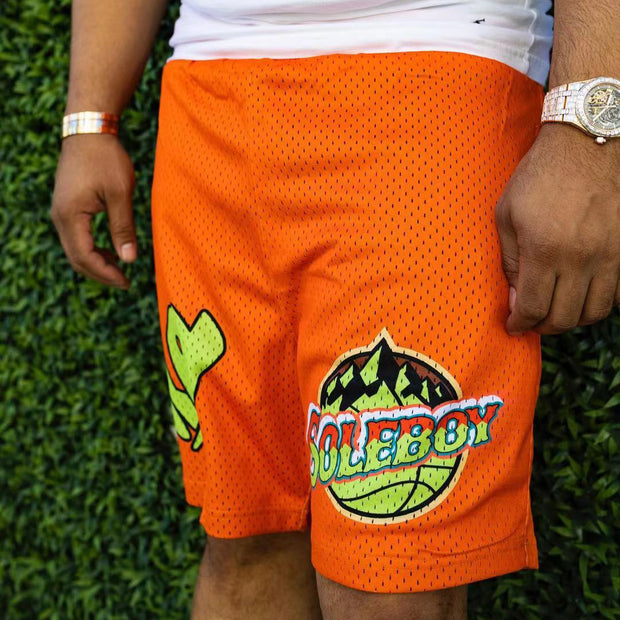 Iceberg leisure sports mesh beach home shorts